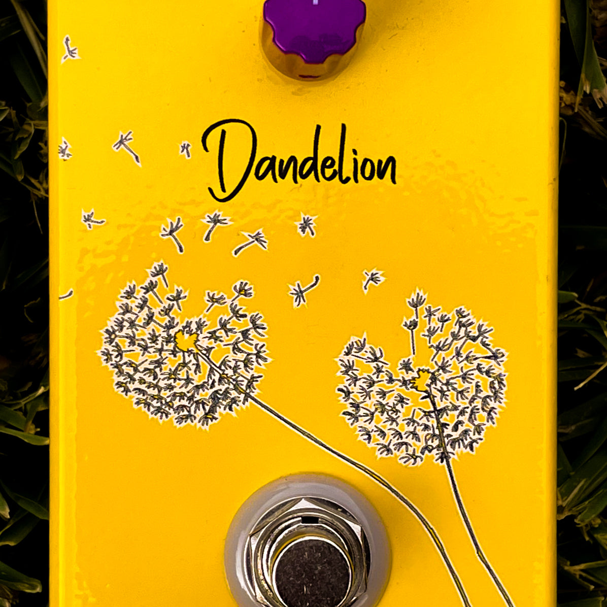 DANDELION - fuzzdrive guitar pedal